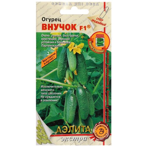 ���� ������. ������ 