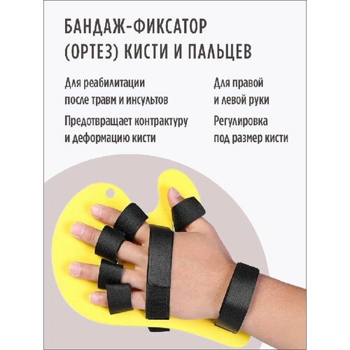 ���� ������-�������� ��� ����� � ������� ����� ��������, ������ �� 675 ���