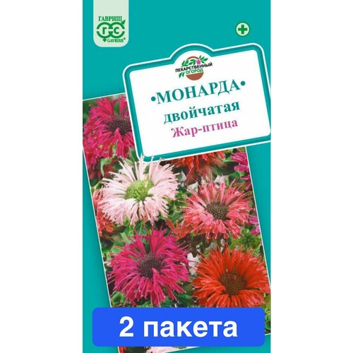 ���� ������ ������ ������ 