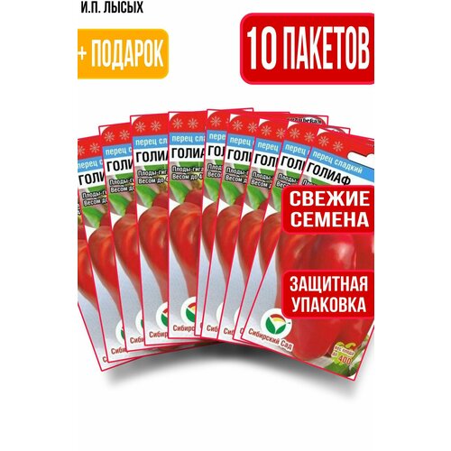 ���� ������ ����� ������ 15��, ������ �� 499 ���