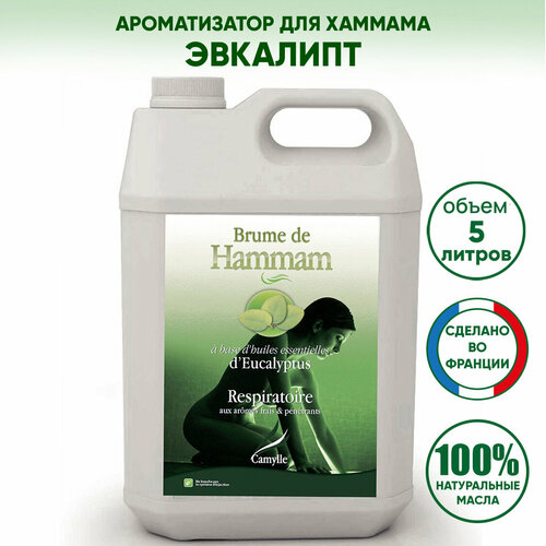    /  CAMYLLE (), 5 ,   20825 