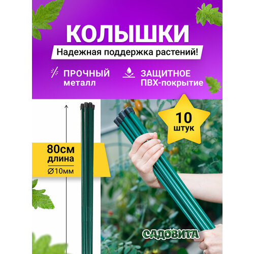 ���� ������� ��������, ������, ���, 80��, �������� 10 ��, ������ �� 729 ���