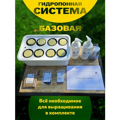 ���� ������� ����������� ������ �������, ���������� ������� �����, �����������, ������ �� 1450 ���