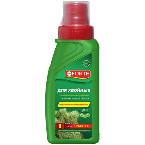 ���� ��������� BONA FORTE ��� �������, ����� �������, 0.285 �, 365 �, 1 ��., ������ �� 356 ���