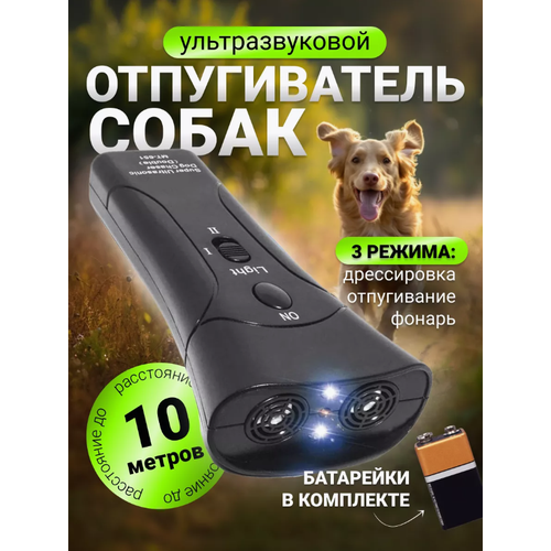 ���� �������������� ������������ ����� � ���������, ������ �� 499 ���