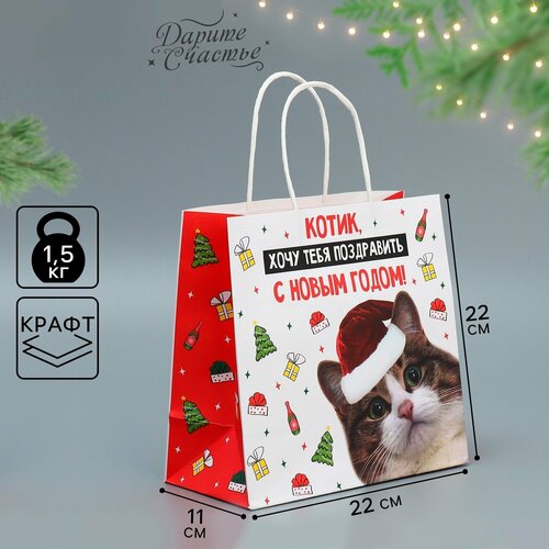 ���� ����� ���������� ������, 22 � 22 � 11 ��, ����� ���, ������ �� 193 ���