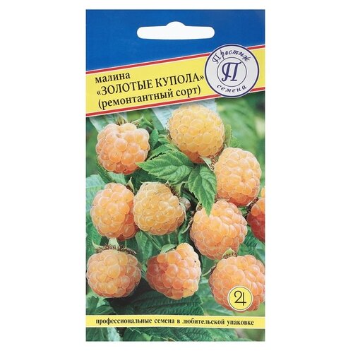 ���� ������ ������� ������ ������ ������������ ������� ������ 10 ��, ������ �� 76 ���