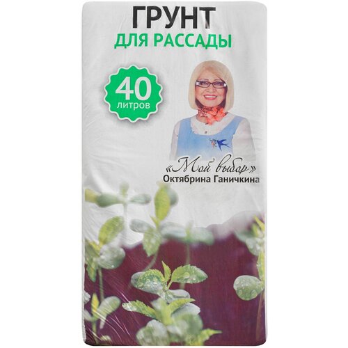 ���� ����� ��� ������� ��� �����, ����������, ����� ����������� 40 �., ������ �� 279 ���