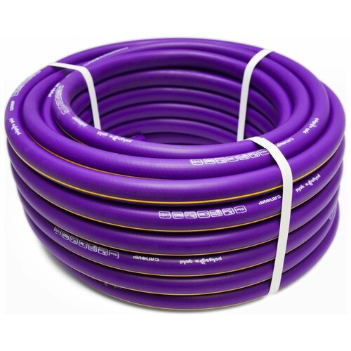 ���� ����� ��� 1/2