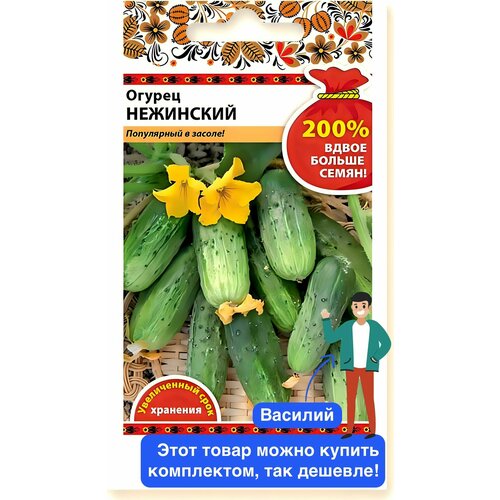 ���� ������ ������ ������� ������ 