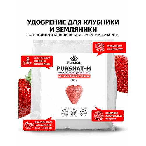 ���� ��������� ��� �������� � ���������, ��������� ��� �������� ������-� ��������������� 500 ��, ������ �� 569 ���