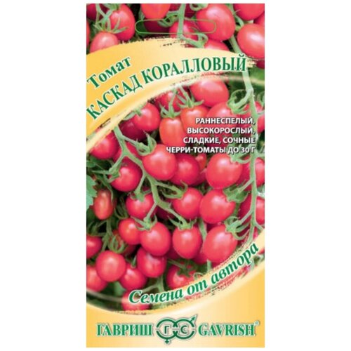 ���� ������. ����� 