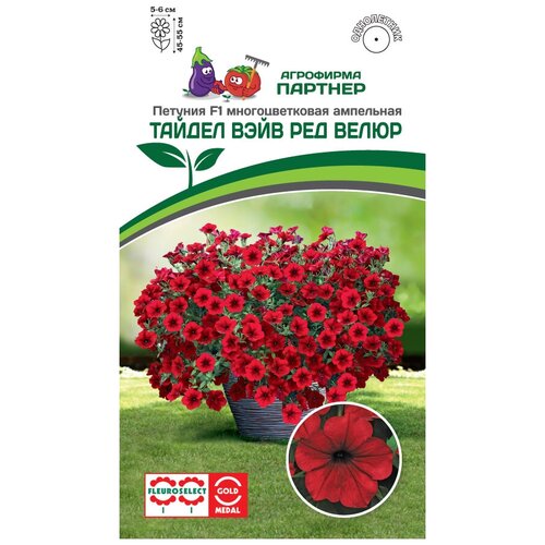 ���� ������ ������� �������������� ��������� 