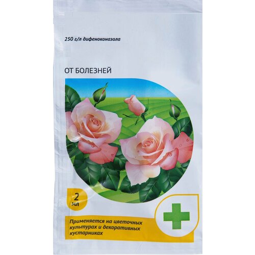         ,  2 .        ,     ,   355 