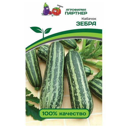 ���� ������ ������� ������� ����� 10 �����, ������ �� 310 ���