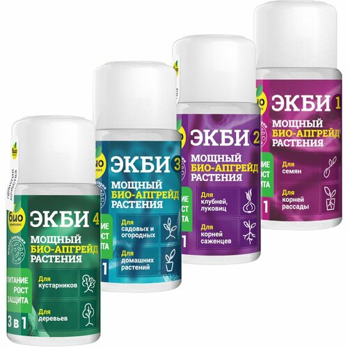 ���� ���-�������� 