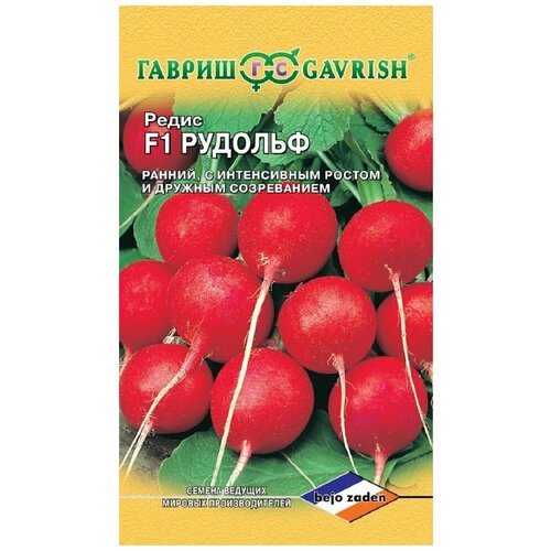    , 1,0, ,   , Bejo, 10 ,   711 