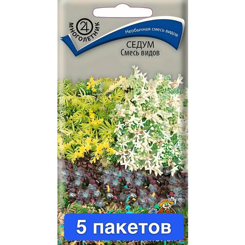 ���� ������ ������ ����� 