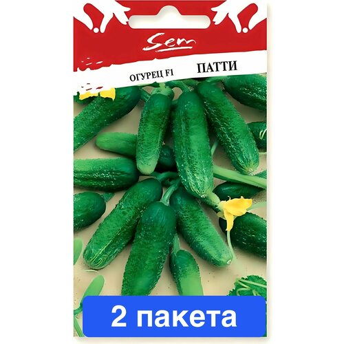 ���� ������ ������ ������� ������ 