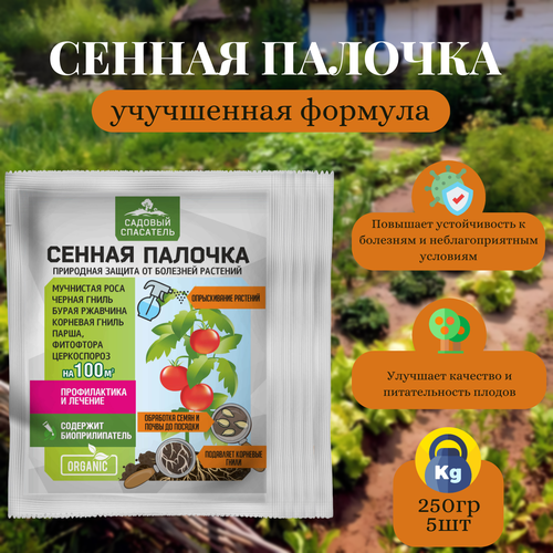 ���� ������ ������� 50�� / 5��. ������� ���������, ������ �� 330 ���