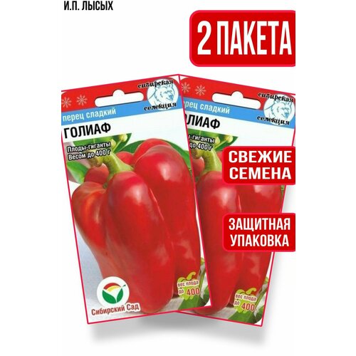 ���� ������ ����� ������ 15��, ������ �� 222 ���