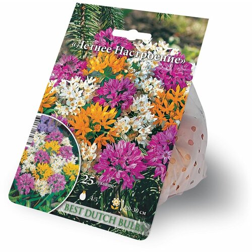    ()    25  4/5,   608 