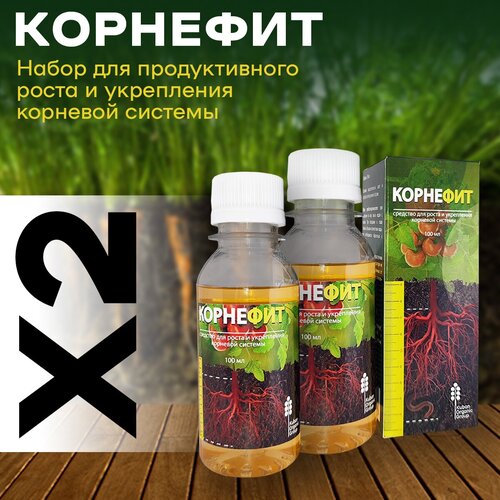 ���� ��������� ��� �������� �������, 2 ��, 200 ��, ������ �� 599 ���