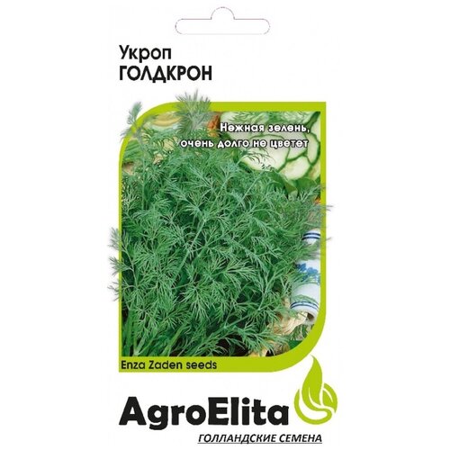 ���� ������ ��������� 