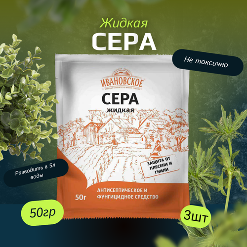 ���� ���� ������ 50�� / 3��. ���������� ��������� ����������., ������ �� 190 ���