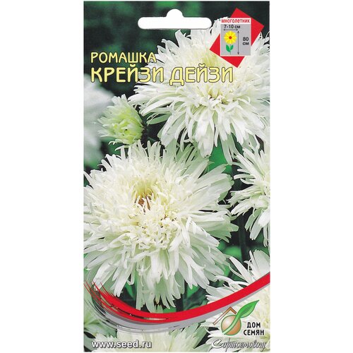 ���� ������� ����������� ������ �����, 30 �����, ������ �� 239 ���