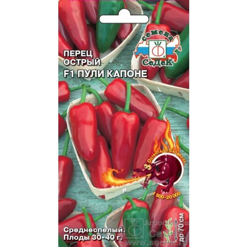 ���� ������ ����� ������ ���� ������ F1 6�� (�����), ������ �� 80 ���