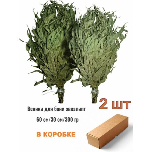 ���� ����� ��� ���� ������������ 2 ��, ������ �� 959 ���