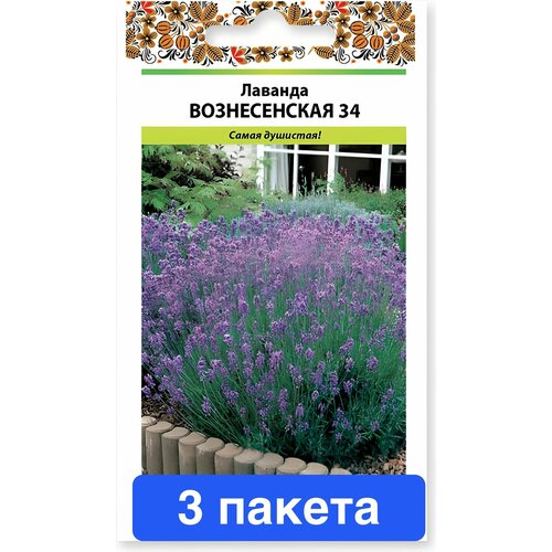 ���� ������� ������������ 34 3 ������, ������ �� 508 ���