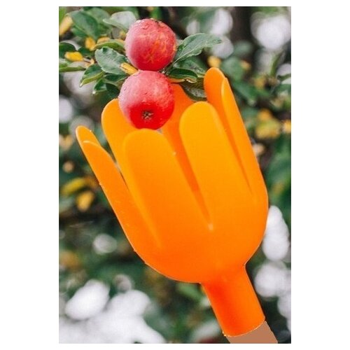     , , ,  , , ,    ,   345 