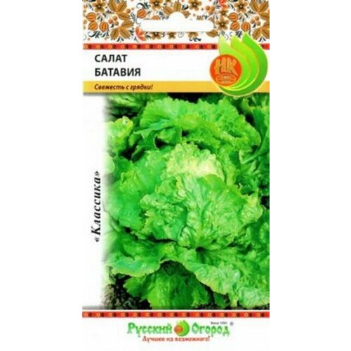 ���� ������ ����� ������� �������� 1� ������ (������� ������), ������ �� 41 ���