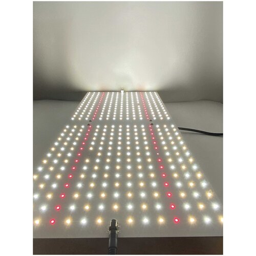 ���� ���������� ��� �������� � ������� Samsung LM281b+/quantum board/������ SL 1200,115 ����/5000�,450-770 ��/� ������ ��������/Bloom- Veg, �����������., ������ �� 7999 ���