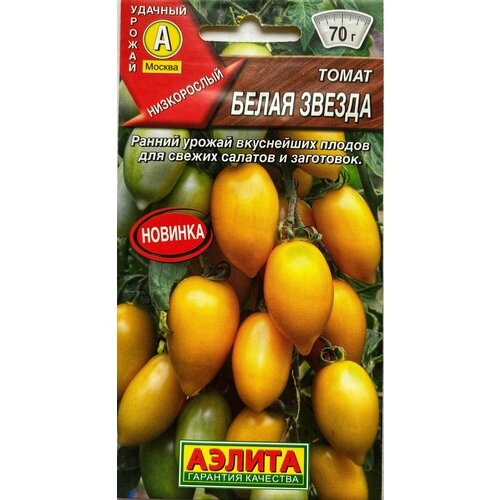 ���� ����� ����� ������, 1 �����, ������ 20 ��, ������, ������ �� 42 ���