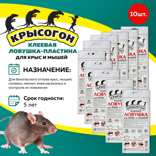 ���� �������� �������� ������� �������-�������� ��� ����� � ����, 10 ��, ������ �� 987 ���