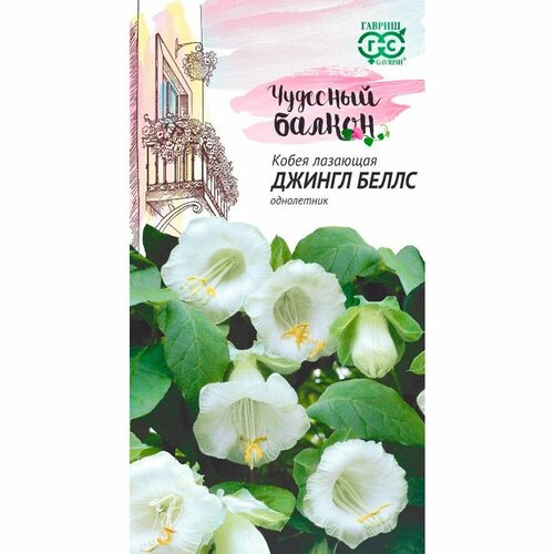 ���� ������ ����� ������ ����� �������� 5�� ��� 300�� (������) �������� ������, ������ �� 72 ���