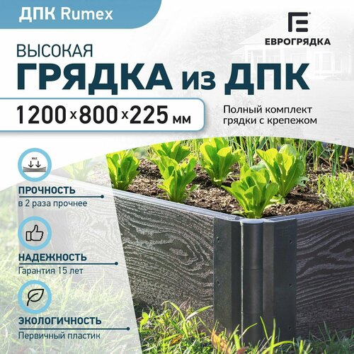 ���� ������ �� ��� 1.2 � x 0.8 �, (����� Rumex: 225�30 ��, ����: �����), ������ �� 4690 ���