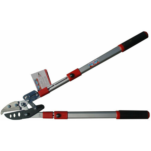 ���� ���� 