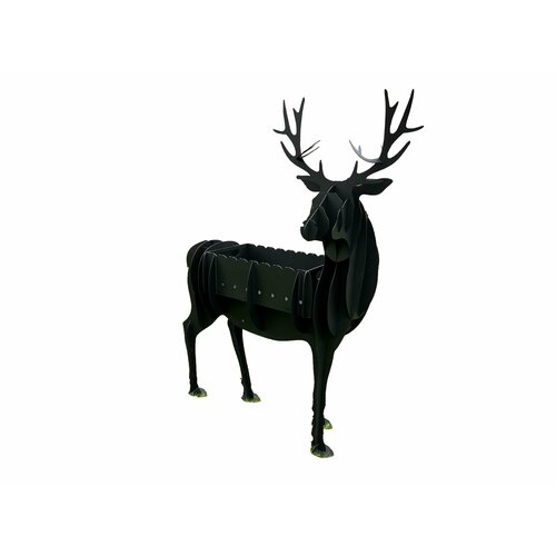 ���� ������ �����, ������ �� 19995 ���