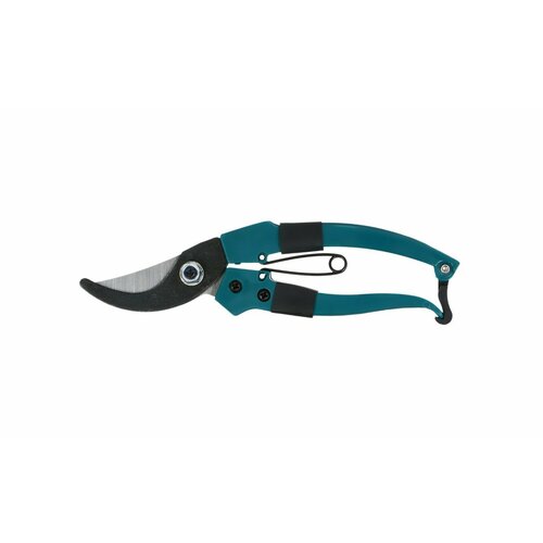 ���� ������� �����������, 18 ��, � ������������ �������, ������ �� 300 ���