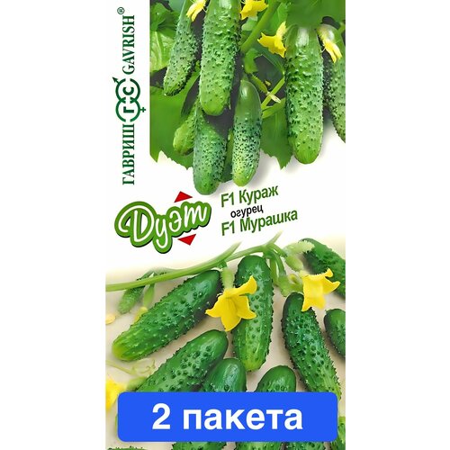 ���� ������ ������ ������ 