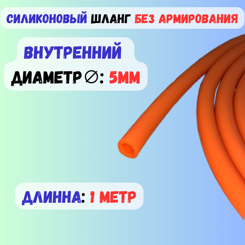 ���� ����� ����������� ��������� (���������) 5�� - 1 ����, ������ �� 310 ���