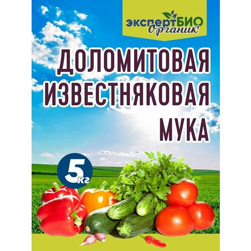 ���� ��������� 