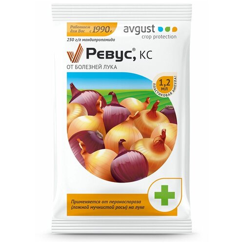  Avgust     , , 1.2 , 1.2 ,   25 