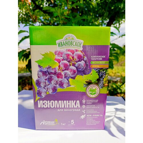 ���� ��������� 