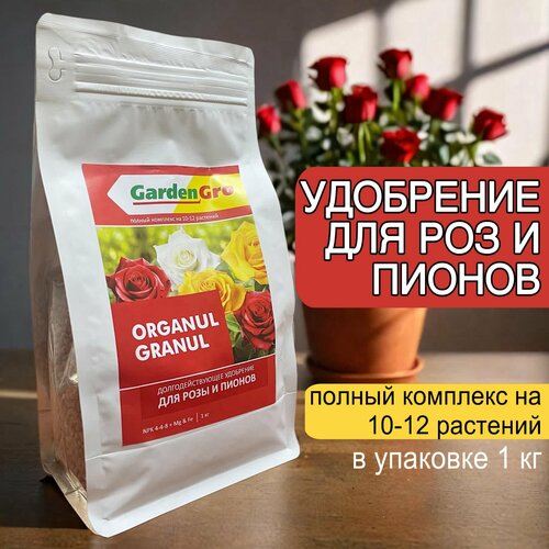 ���� ��������� 