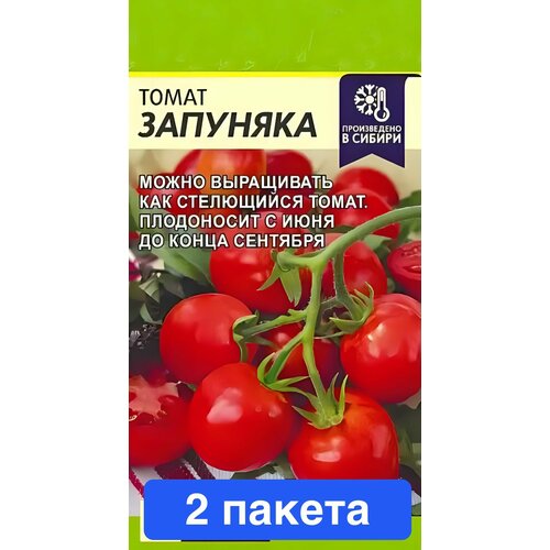 ���� ������ ������ ������ ����� 